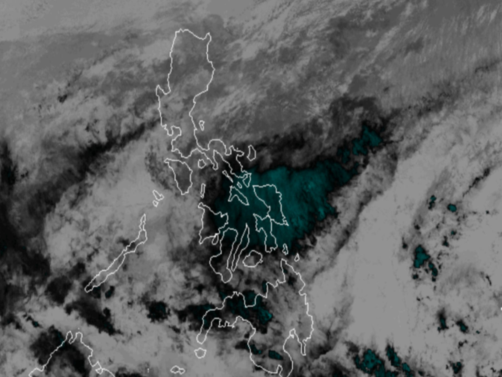 Look: First class suspensions of 2026